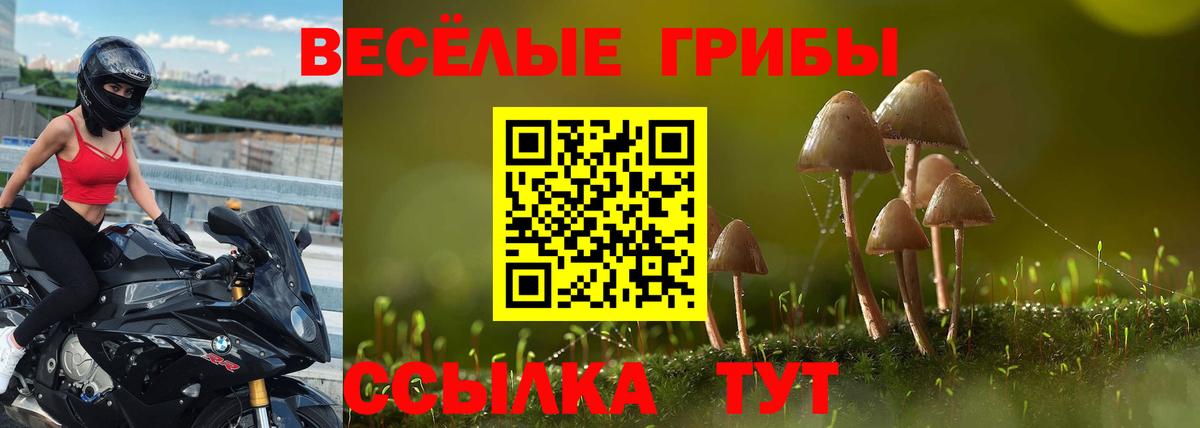 Псилоцибиновые грибы GOLDEN TEACHER  Вход с VPN  где можно купить наркотик  Галлюциногенные грибы мицелий  Железноводск 